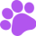 pata-violeta-izq